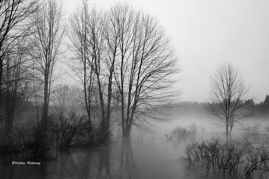 Foggy Day by Kathy Maloney Foggy Day by Kathy Maloney