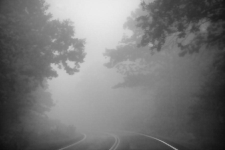 Foggy Drive Photograph by Heather Applegate