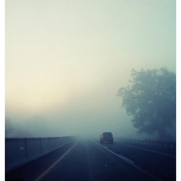 Foggy Drive Photograph by Mark Diefenderfer