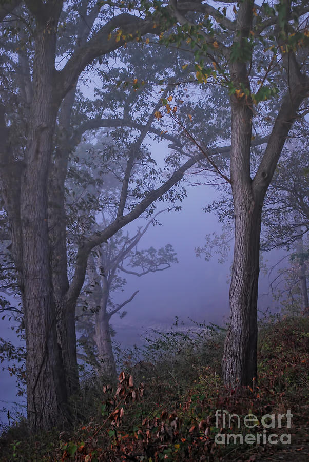 Foggy Fall Morning Photograph