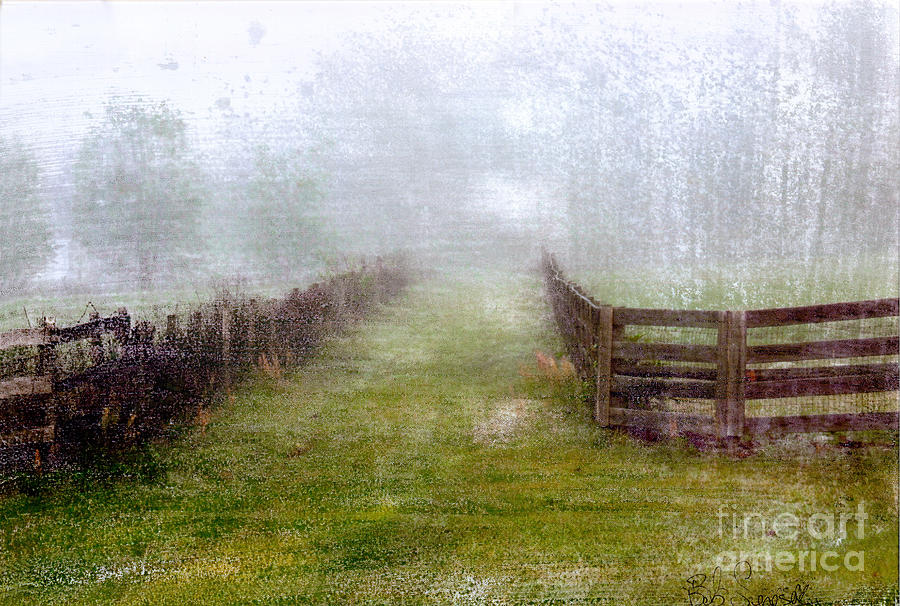 Foggy Fence Photograph by Bob Senesac