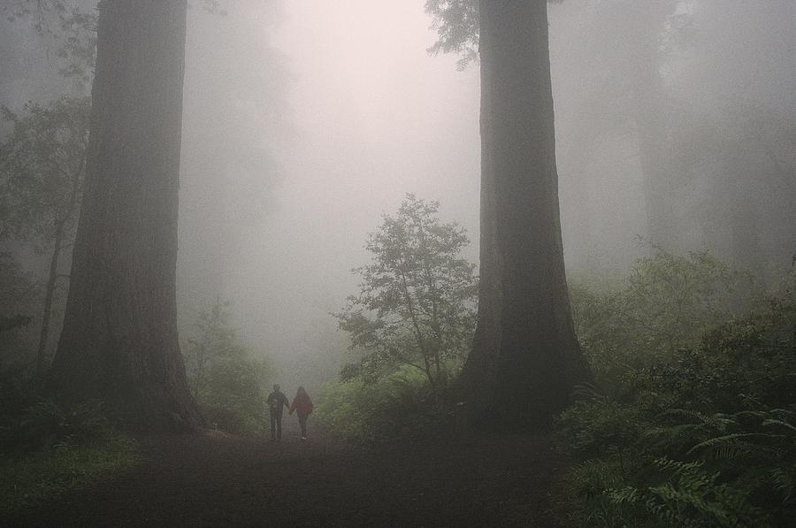 Foggy Forest View With A Couple Walking Photograph By -6801