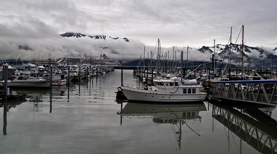 Foggy Marina Morning Photograph by Wes and Dotty Weber