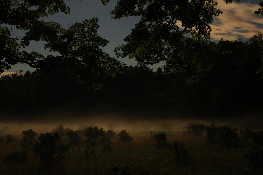 Foggy Meadow Moonlight Photograph by John Burk