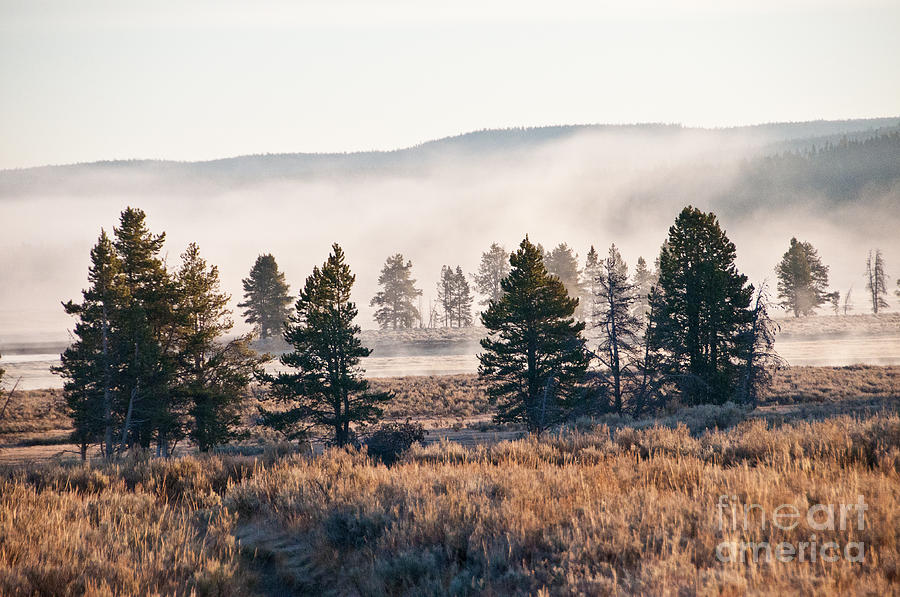 Foggy Morning Along the Yellowstone River Photograph by Bob and Nancy Kendrick