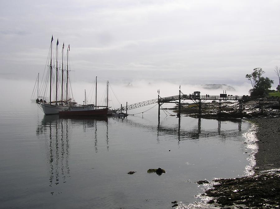Foggy Morning in Bar Harbor Maine Photograph by Sven Migot