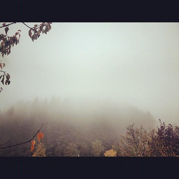Foggy Morning Photograph by Jean-Paul Jackson