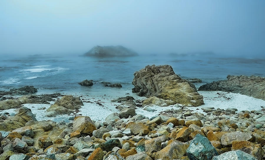 Foggy Morning on the Coast Photograph by Renee Hardison