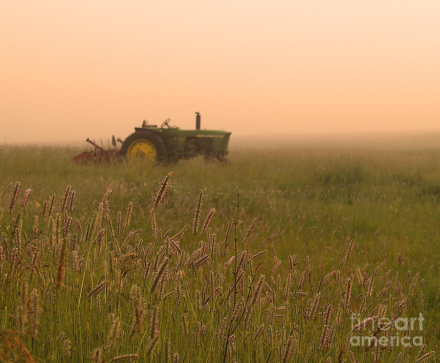 Foggy Morning On The Farm Photograph by Terry Doyle