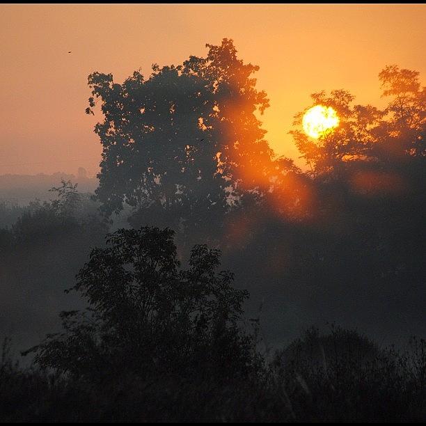 Foggy Morning Sunrise Photograph by Lock Photography