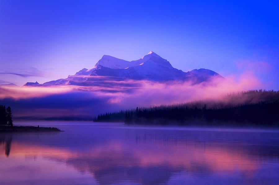 Foggy Mountain Sunrise Photograph by Corey Hochachka