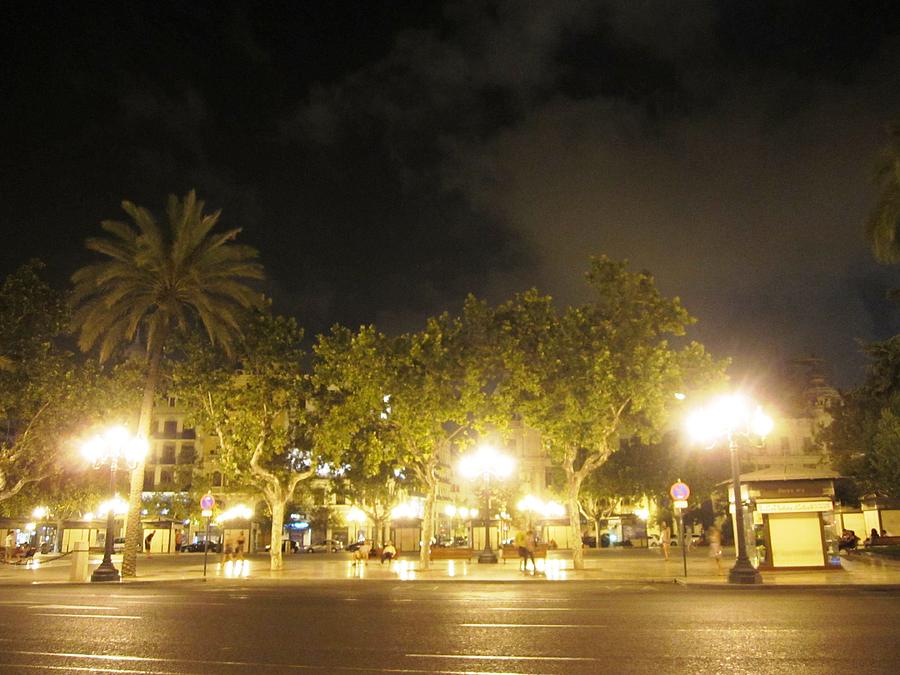 Foggy Night in Valencia Lighted With Street Light Poles in Spain Photograph by John Shiron