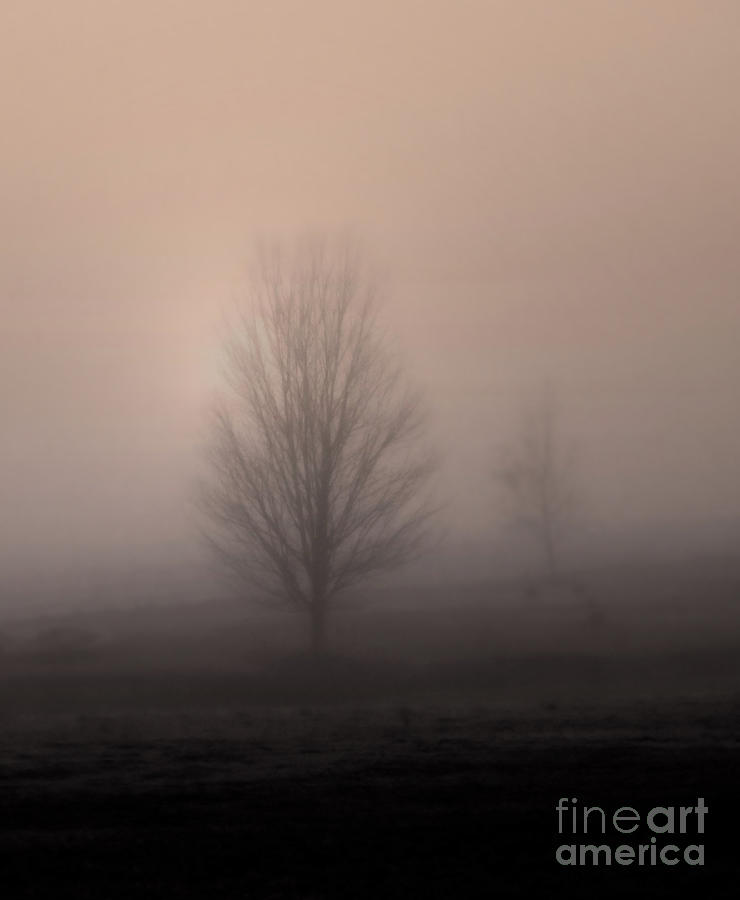 Foggy Pasture Photograph by Deborah Smith
