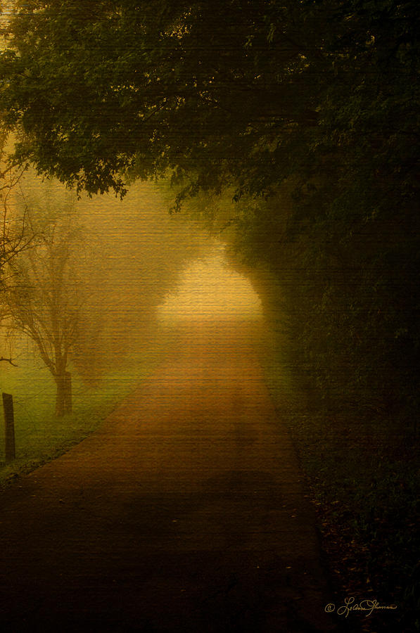 Foggy Path Photograph by LeAnne Nesbitt - Fine Art America