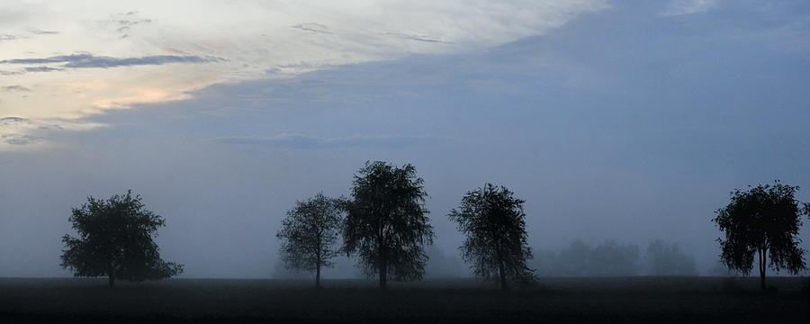 Foggy Pennsylvania Treeline Photograph by Angela Rath