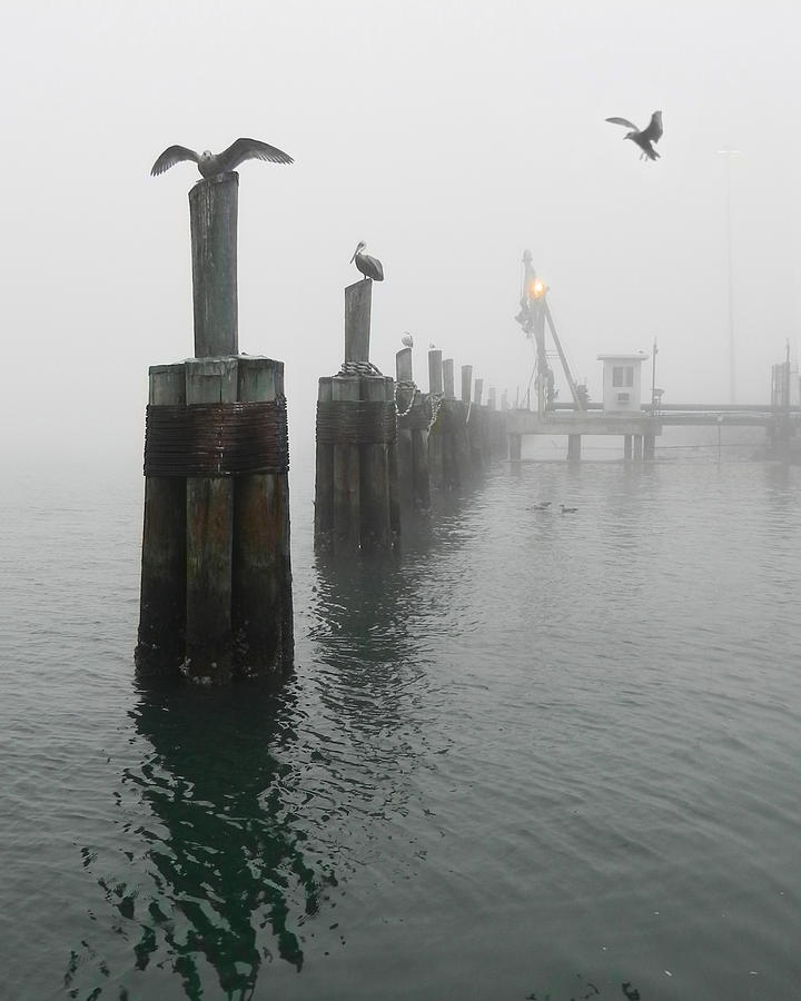 Foggy Pier Photograph by Frances Miller