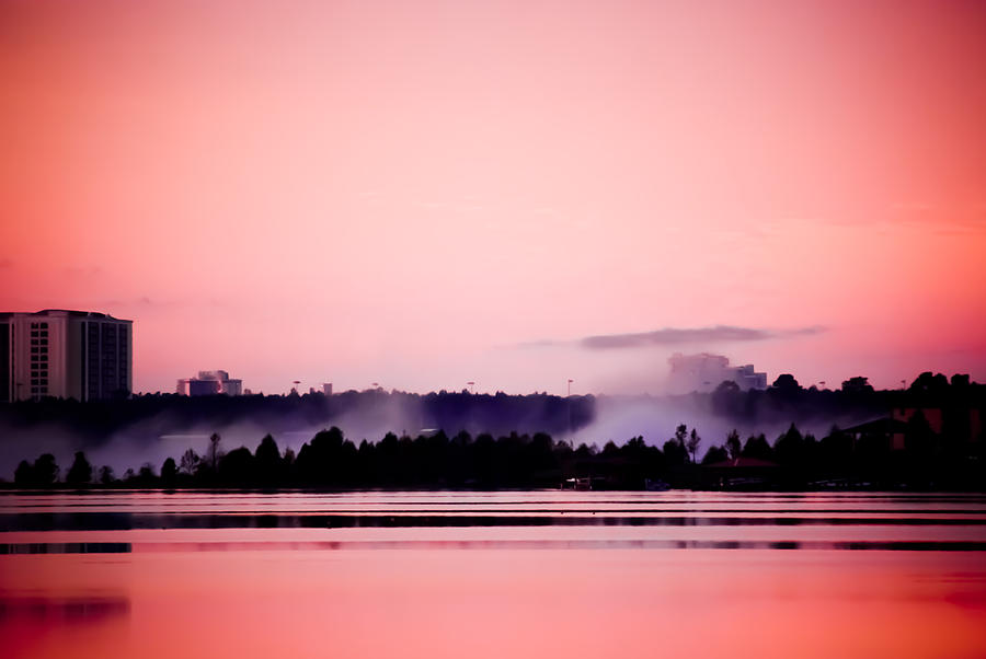 Foggy Pink Morning Photograph by Trish Tritz