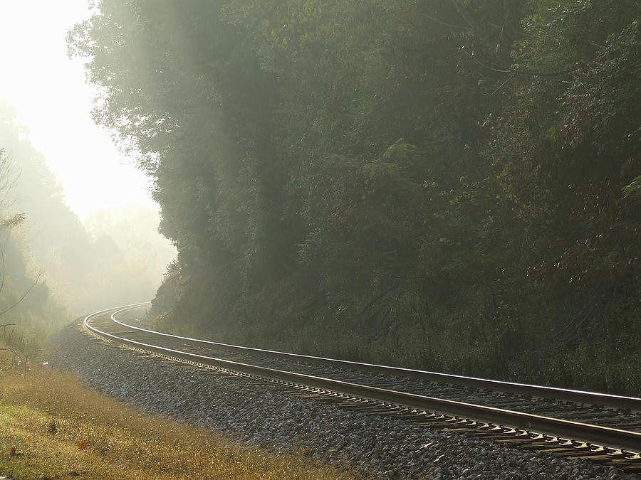 Foggy Rails Photograph by Richard Gregurich