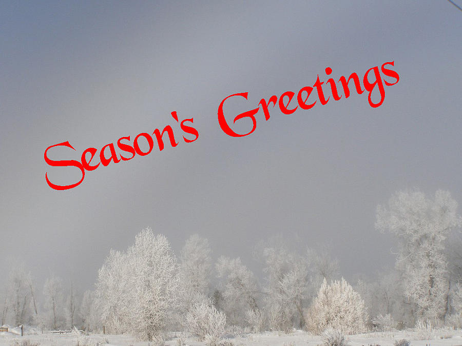 Foggy Seasons Greeting Photograph by DeeLon Merritt