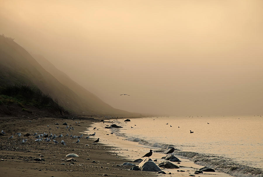 Foggy Shores Photograph by Jeff Galbraith