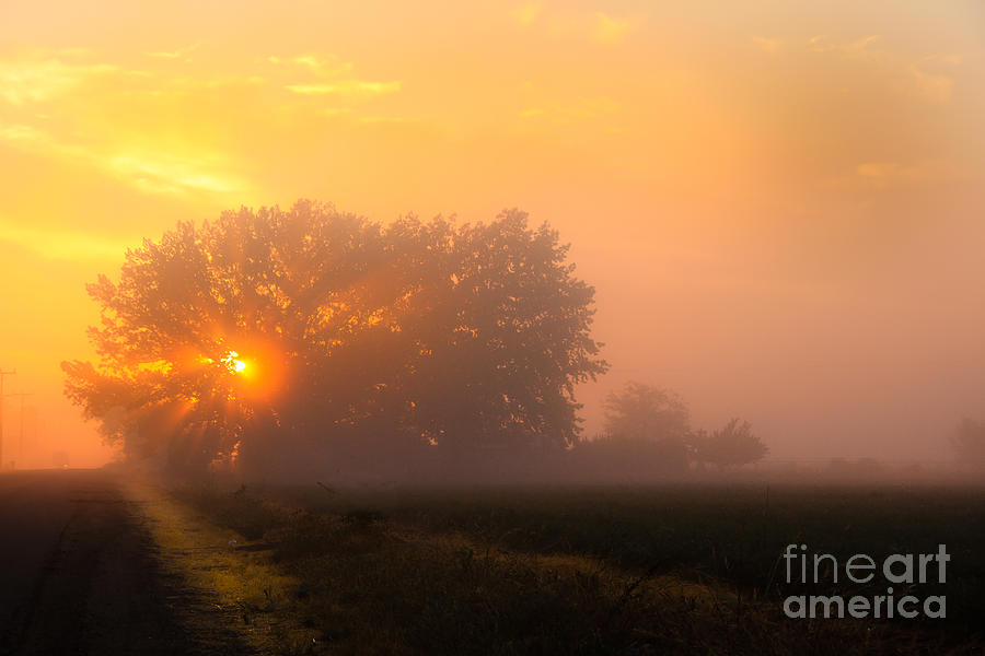 Foggy Sunrise Photograph by Robert Bales