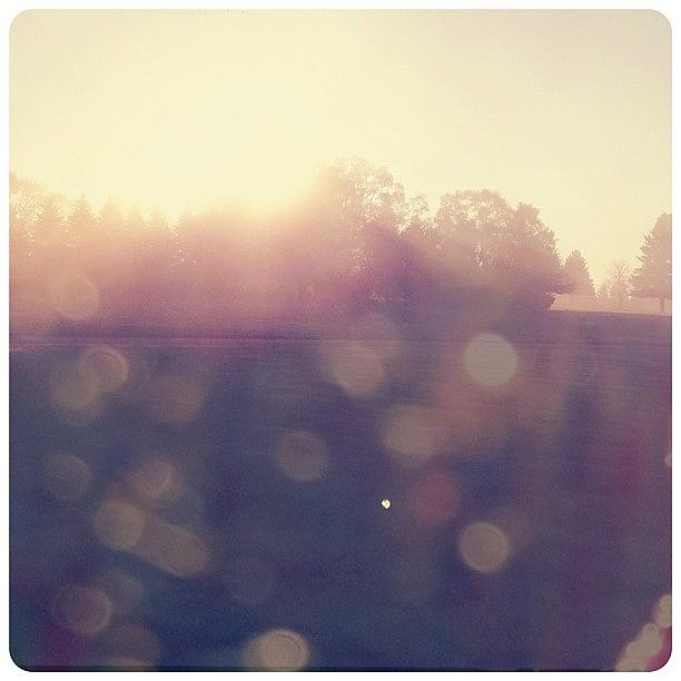 *foggy Sunrises Are My Jam Photograph by Vanessa Ray
