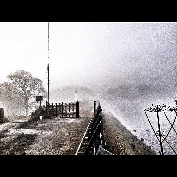 Fog Photograph - Foggy Walk #photooftheday #fog #walk by Rob Fairman