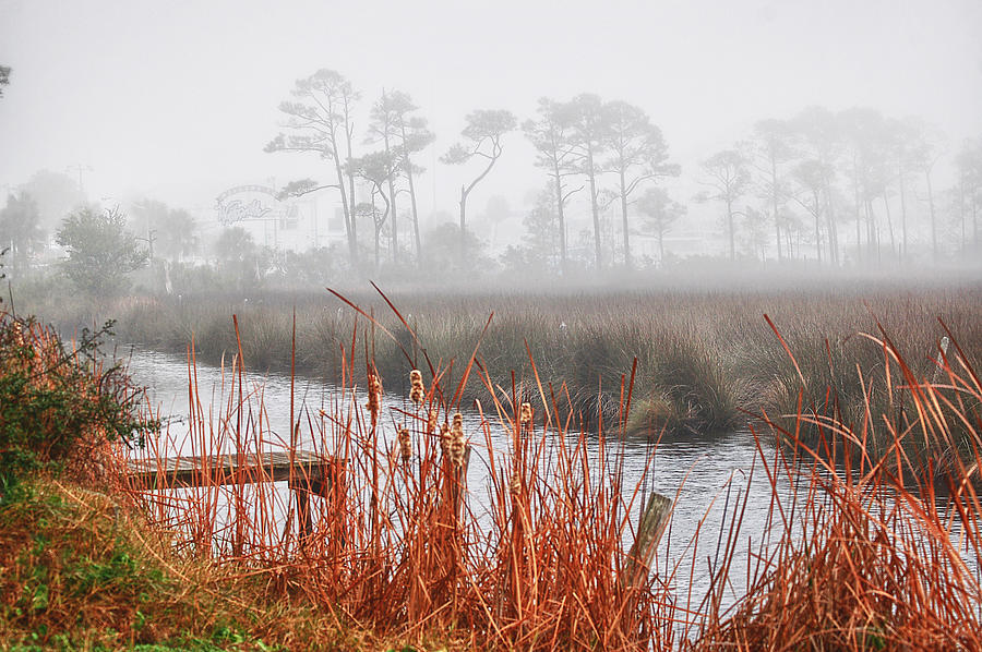 Foggy Waterville Marsh Digital Art by Michael Thomas