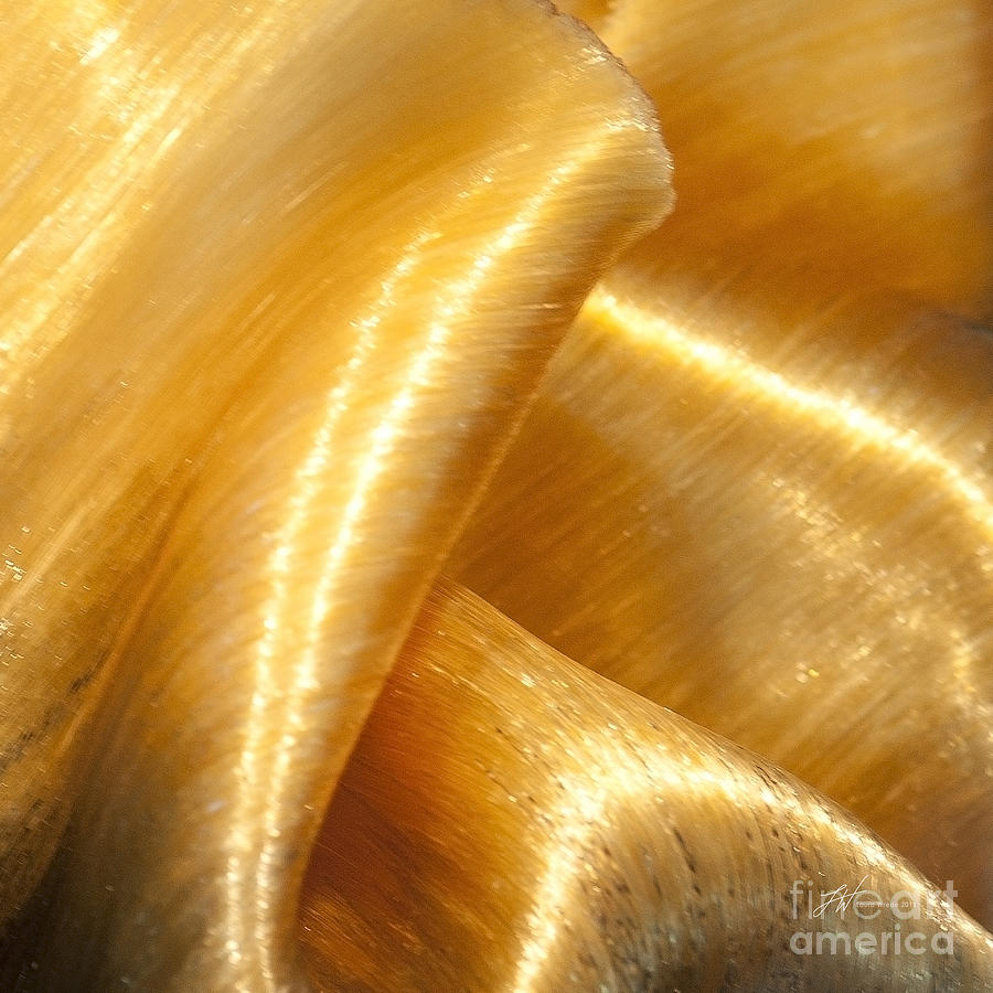 Art Glass Photograph - Folding Gold by Artist and Photographer Laura Wrede