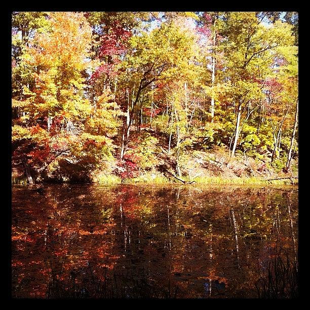 Fall Photograph - Foliage On Water Part Deux #autumn by James Heck