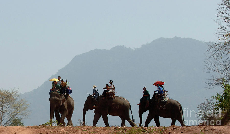 Elephant Ride Laos Photograph by Bob Christopher