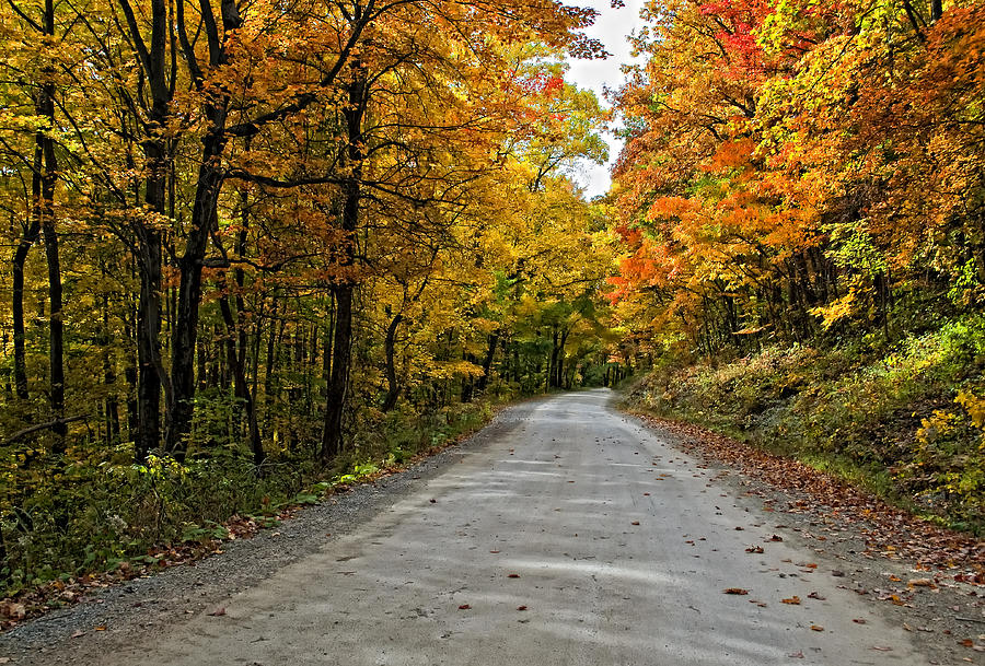 Fall Photograph - Follow the Yellow Leafed Road by Steve Harrington