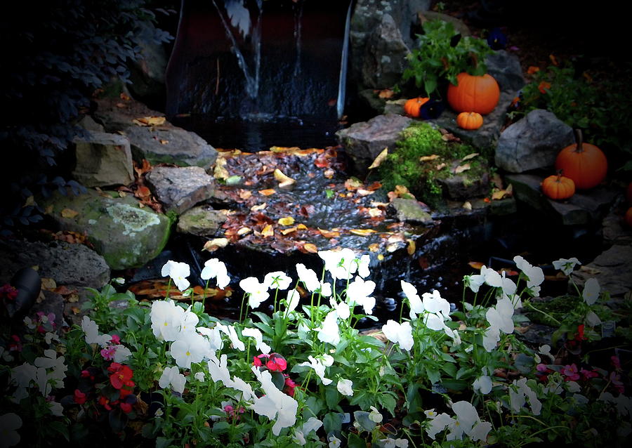 Font Yard Waterfall in Autumn Photograph by Laura  Grisham