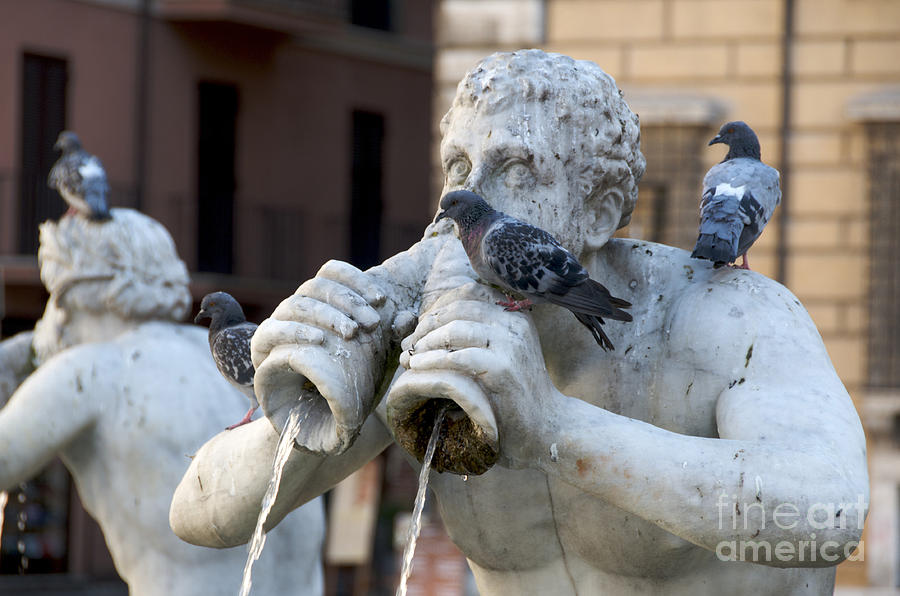 Greek Photograph - Fontana del Moro in Piazza Navona. Rome by Bernard Jaubert