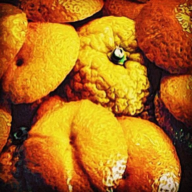 Food Photograph - #food #foodporn #orange #orangejuice by James Roach
