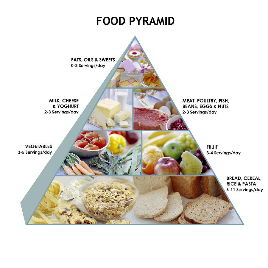 Food Pyramid Photograph by David Munns - Fine Art America