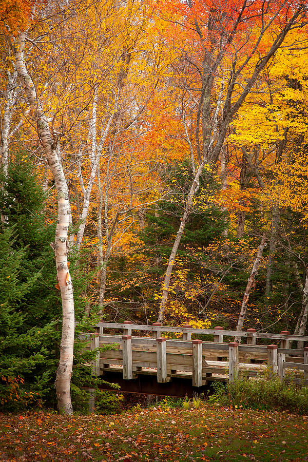 Mountain Photograph - Foot Bridge in the Fall 6239  by Ken Brodeur