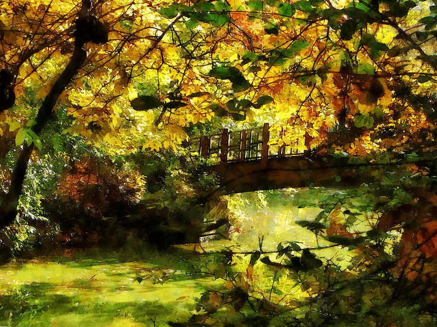 Fall Photograph - Foot Bridge by Susan Savad