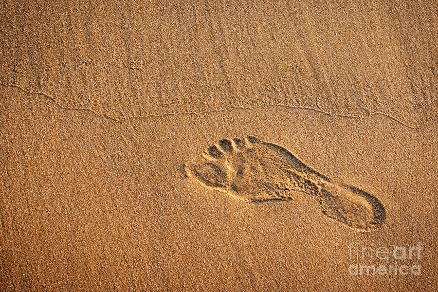 Nature Photograph - Foot Print by Carlos Caetano