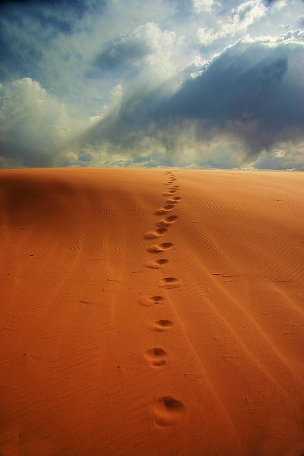 Foot Prints to Heaven Photograph by John Handfield