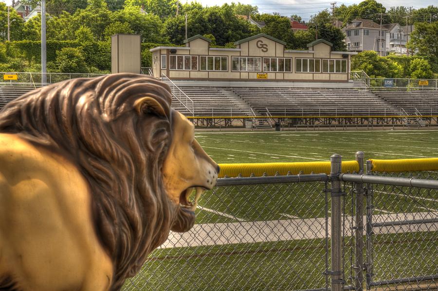 Football Lions Photograph by Coby Cooper