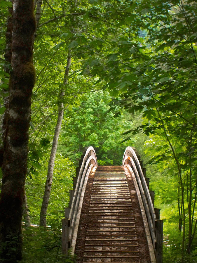 Footbridge Photograph by Carly Petersen - Fine Art America