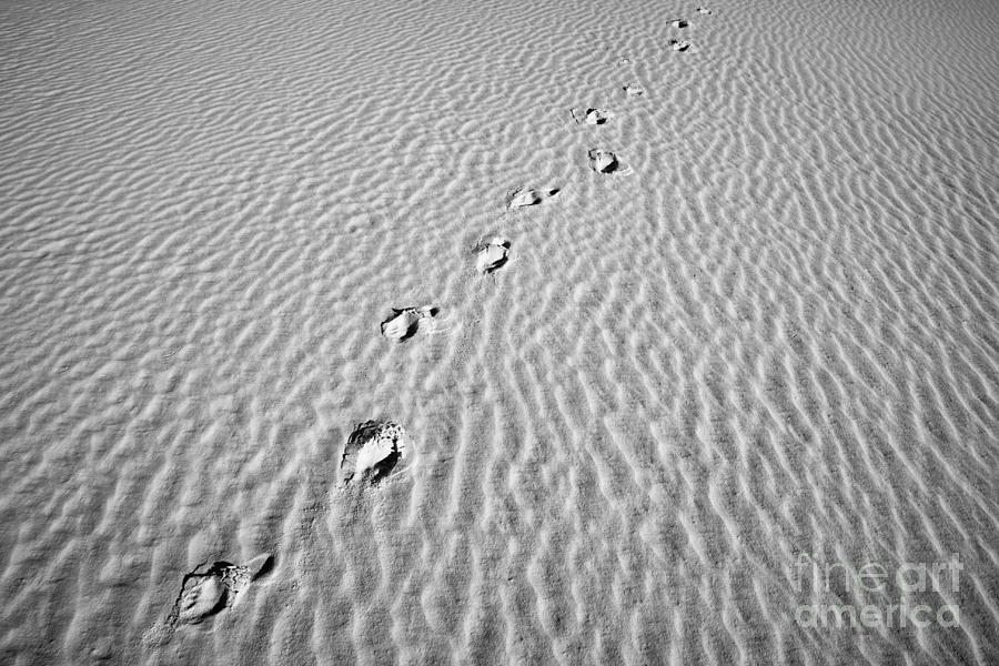 Footprint at White Sand Photograph by Olivier Steiner