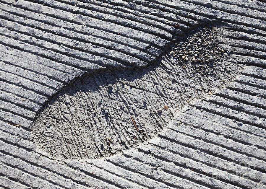 Footprint In Concrete Photograph by Paul Edmondson