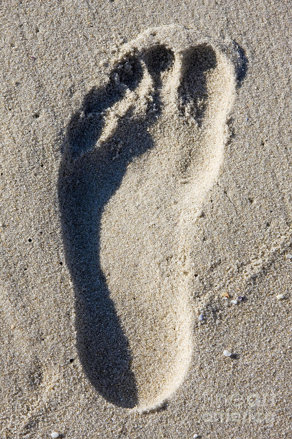 Beach Photograph - Footprint in the sand by John Van Decker