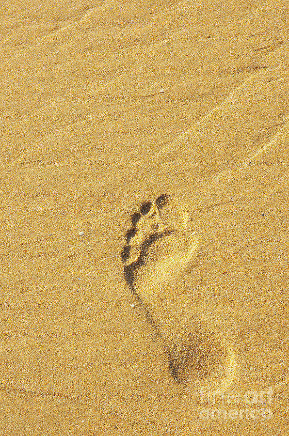 Nature Photograph - Footprint On Sand by Carlos Caetano
