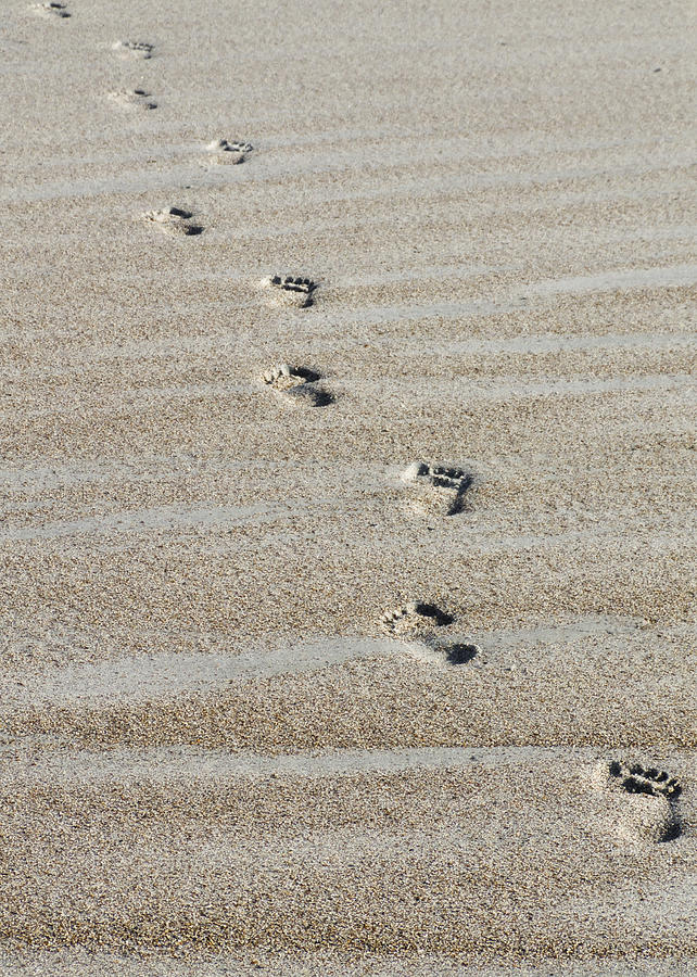 Baby footprints in store sand