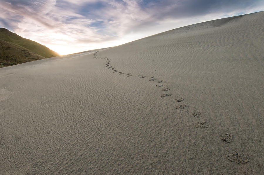 Footprints in sand  Photograph by U Schade