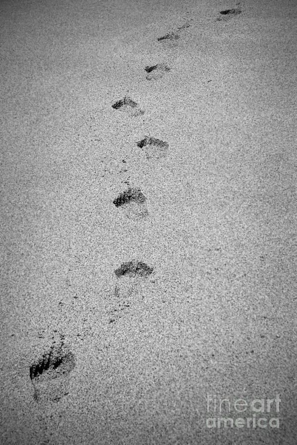 Footprints in The Sand Black and White Photograph by Paul Topp