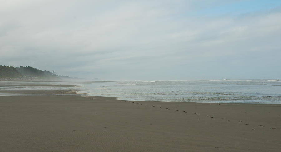 Footprints In the Sand Photograph by Gina Hamilton - Fine Art America